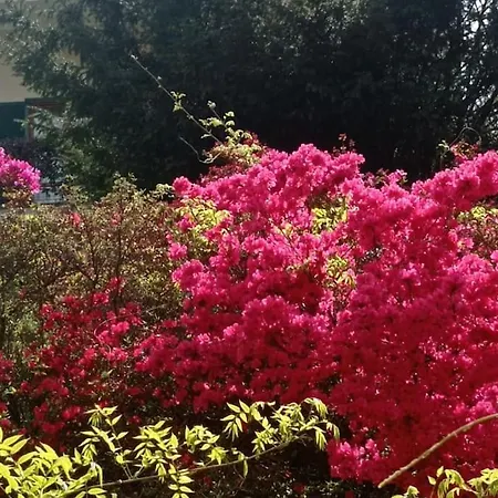 Σπίτι διακοπών Le Betulle Borgo Ticino