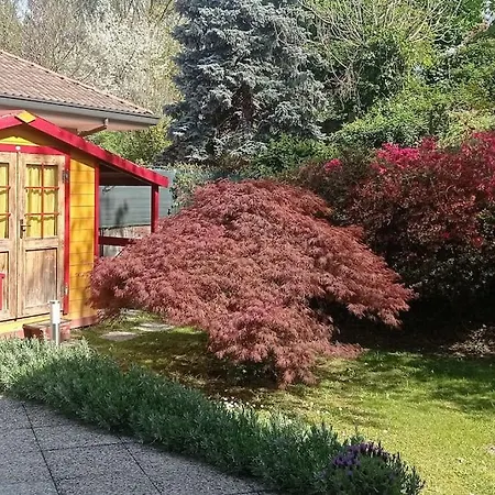 Le Betulle Casa vacanze Borgo Ticino