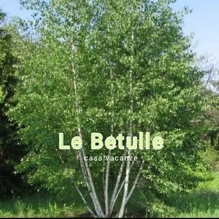 Le Betulle Borgo Ticino