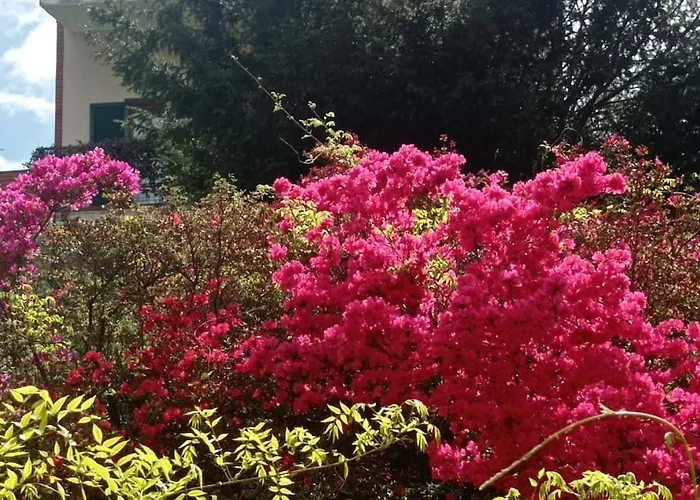 בית נופש Le Betulle Borgo Ticino