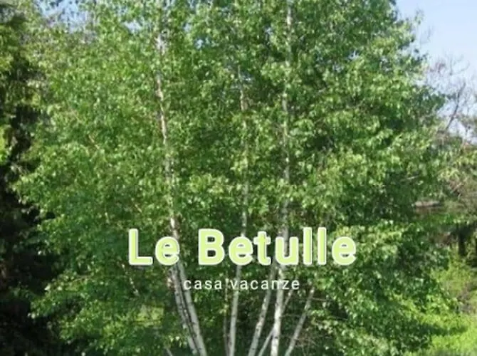 Le Betulle Borgo Ticino